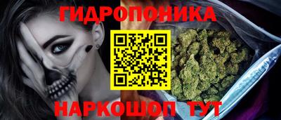 прущие грибы Кулебаки