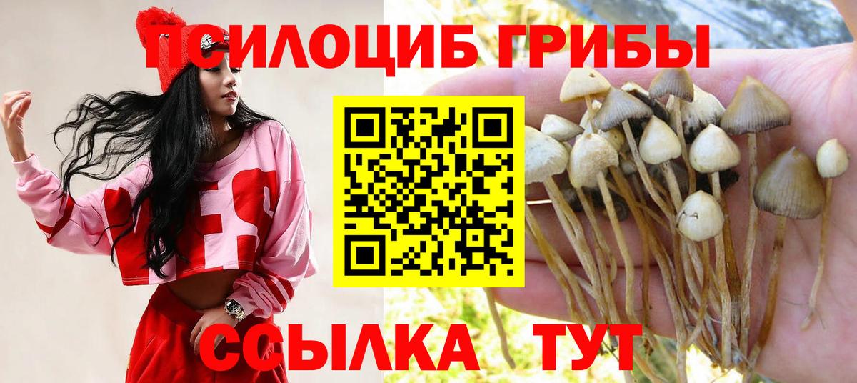 Урюпинск  наркота  Вход с VPN  Галлюциногенные грибы Psilocybine cubensis  Галлюциногенные грибы мицелий 
