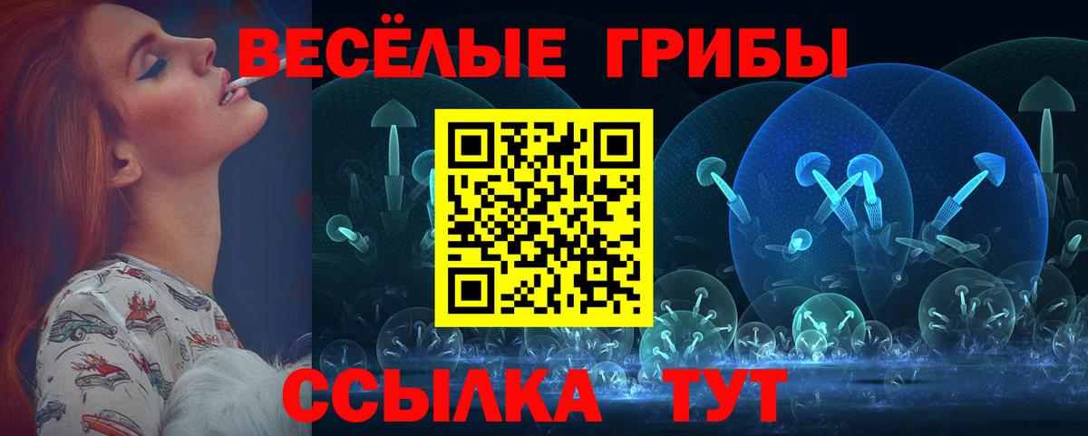 Псилоцибиновые грибы Cubensis Урюпинск